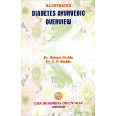 Illustrated Diabetes Ayurveda Overview